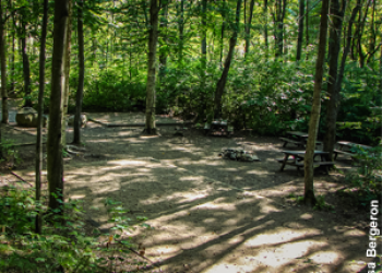 campinggroupe_avecacceseau__campingriviere